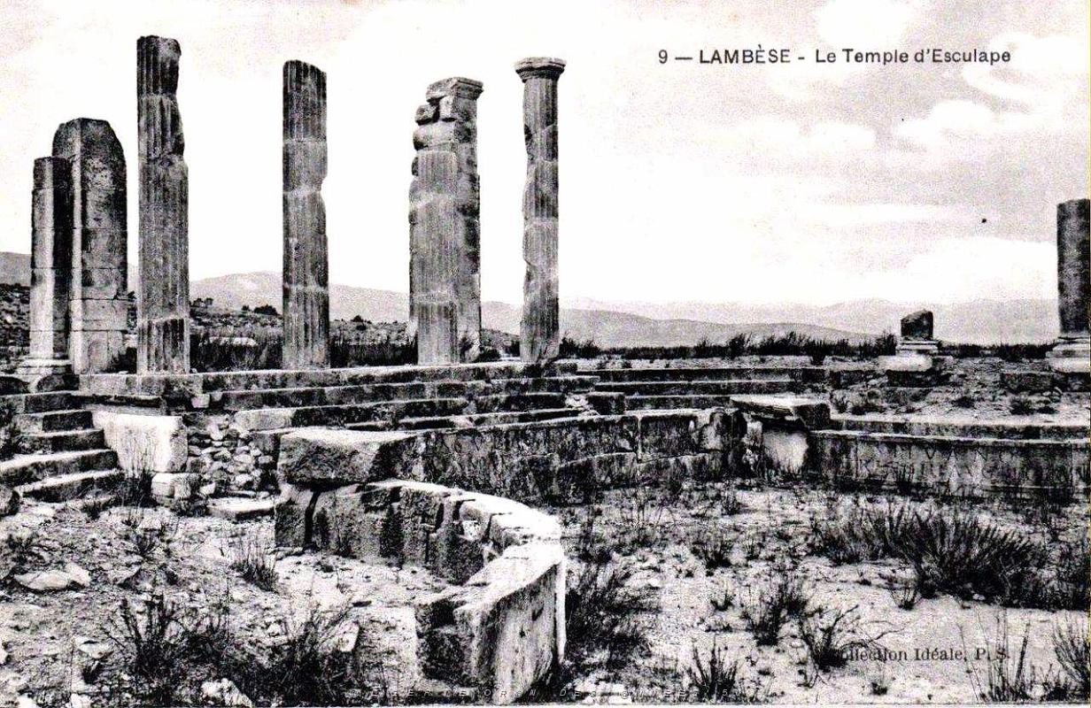 ALGERIE-RUINES ROMAINES DE LAMBESE (54).jpg